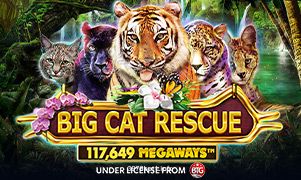 Imagem do jogo Big Cat Rescue Megaways na 3976 bet